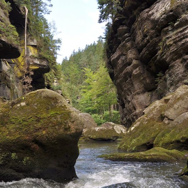 Kamenice River Gorge