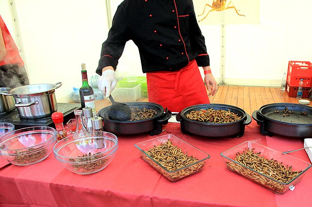 Prague Troja Foodparade