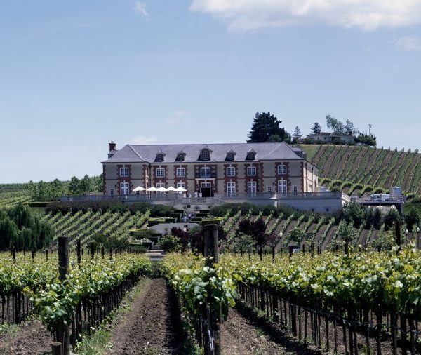 Winery and vineyard in Napa Valley, California